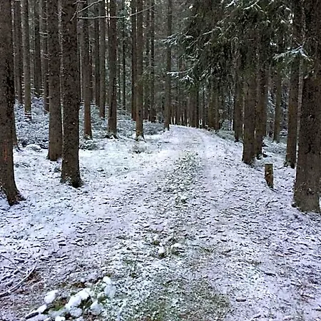 Café - Bernreutehof Vöhrenbach