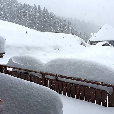 Café - Bernreutehof *