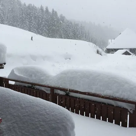 Café - Bernreutehof * Vöhrenbach